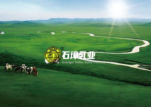 南宁网站建设石埠乳业客户案例